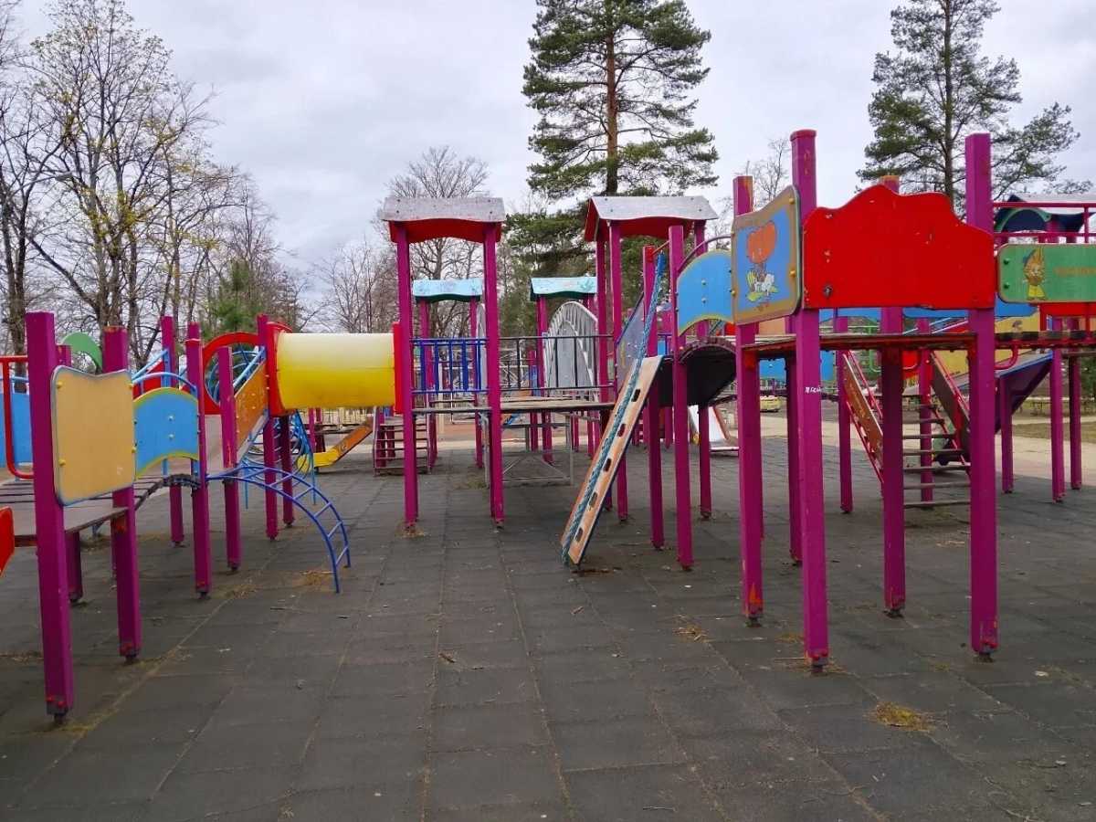 В 2024 году в парке установили детскую спортивно-игровую площадку.