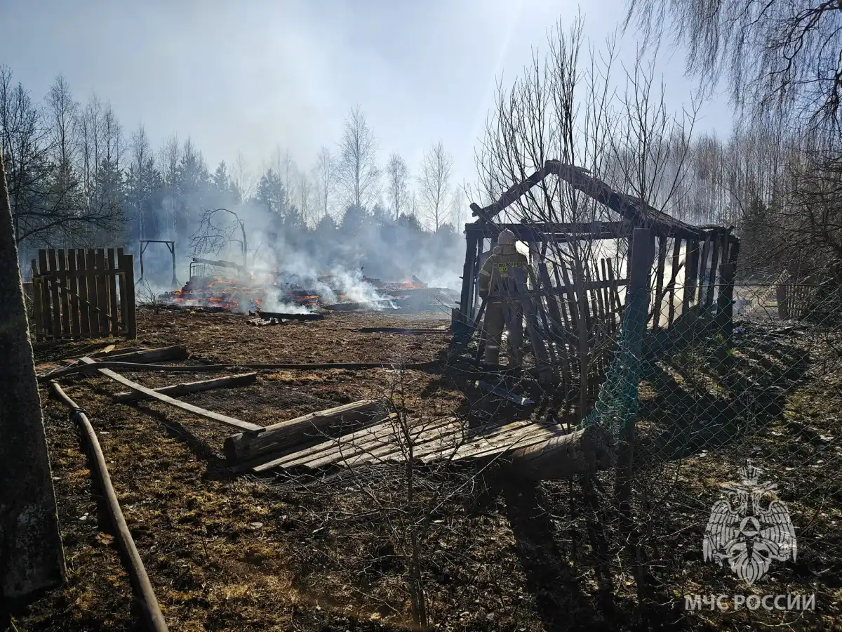 Причины возгораний устанавливают органы дознания.