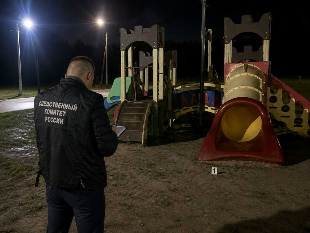 Тело девочки обнаружили в реке Шелонь недалеко от места пропажи.