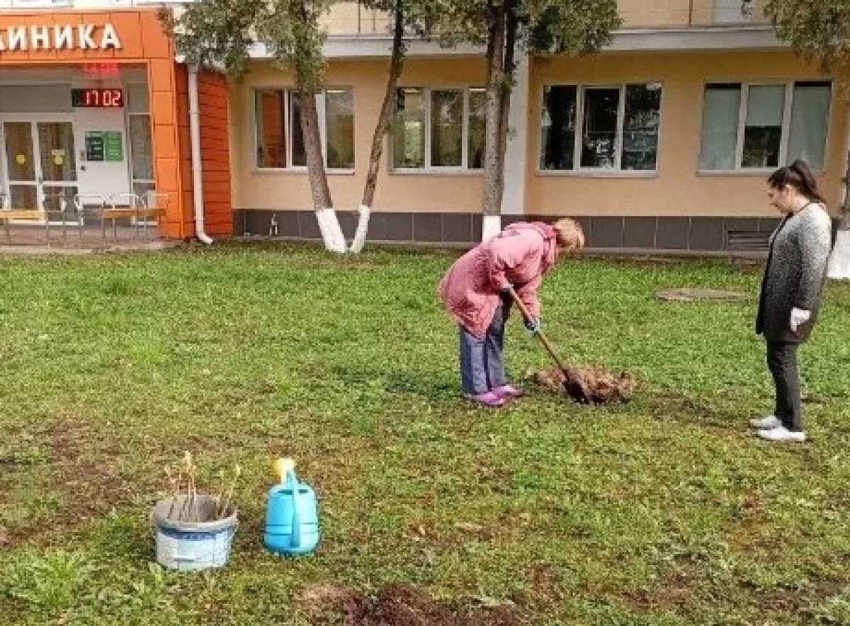 Сотрудники госпиталя уже высадили деревья.