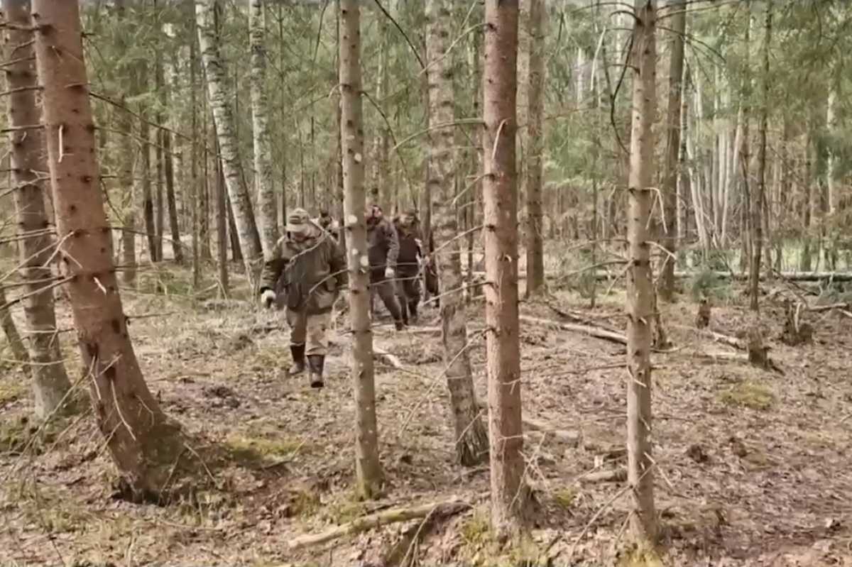 По сей день в лесах и болотах Новгородчины ждут своего часа те, кто не вернулся с фронта.