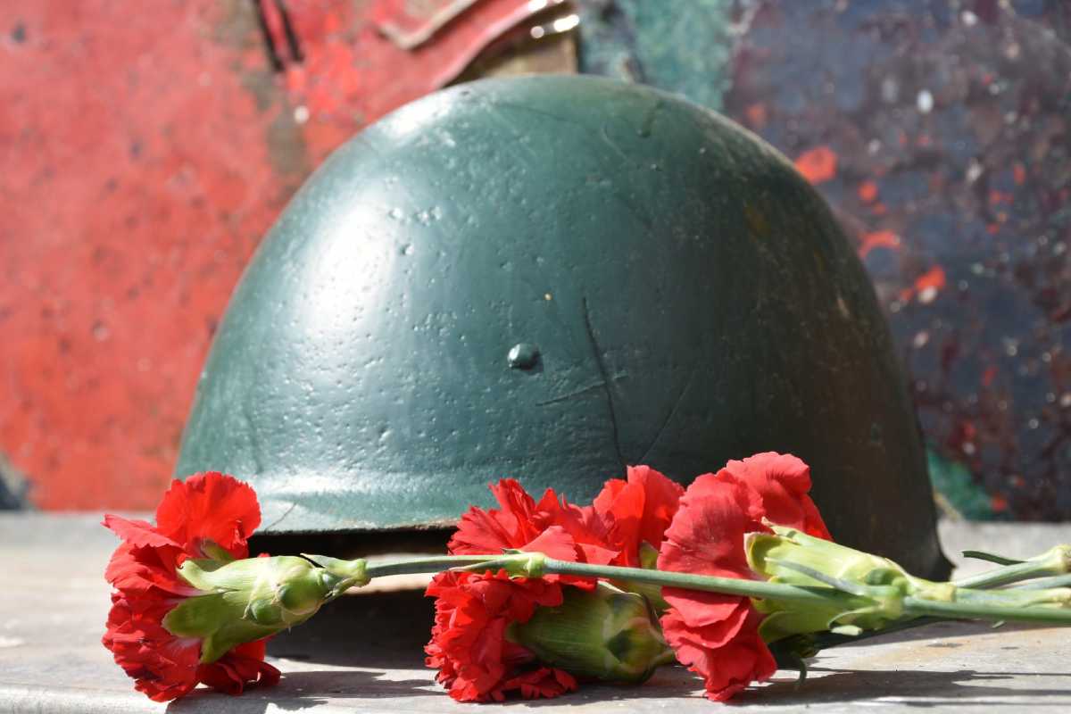В Год единства народов России, объявленный главой государства, вспоминают и о подвигах бойцов разных национальностей, сражавшихся за новгородскую землю.