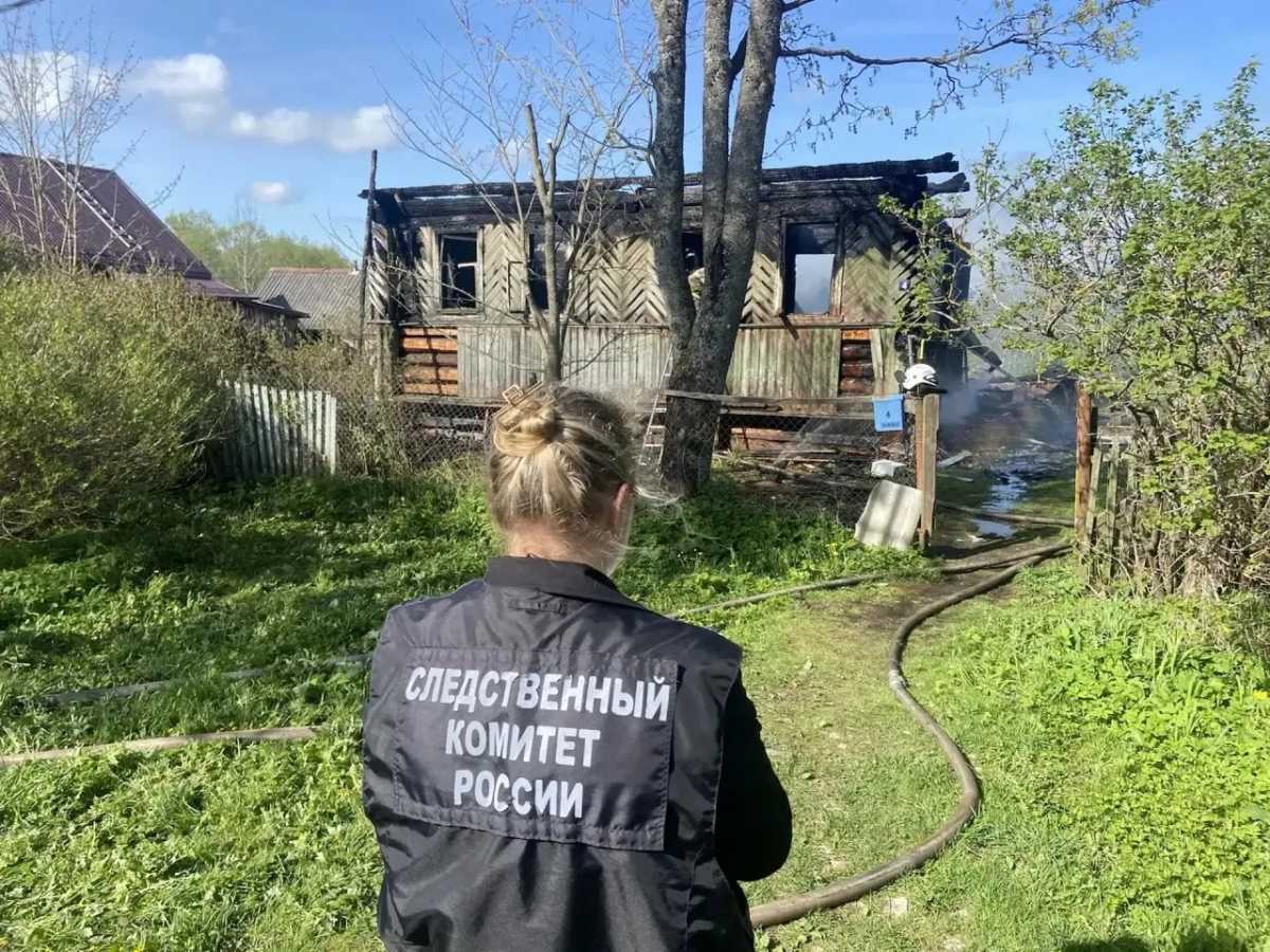 Причины пожаров устанавливают органы дознания.