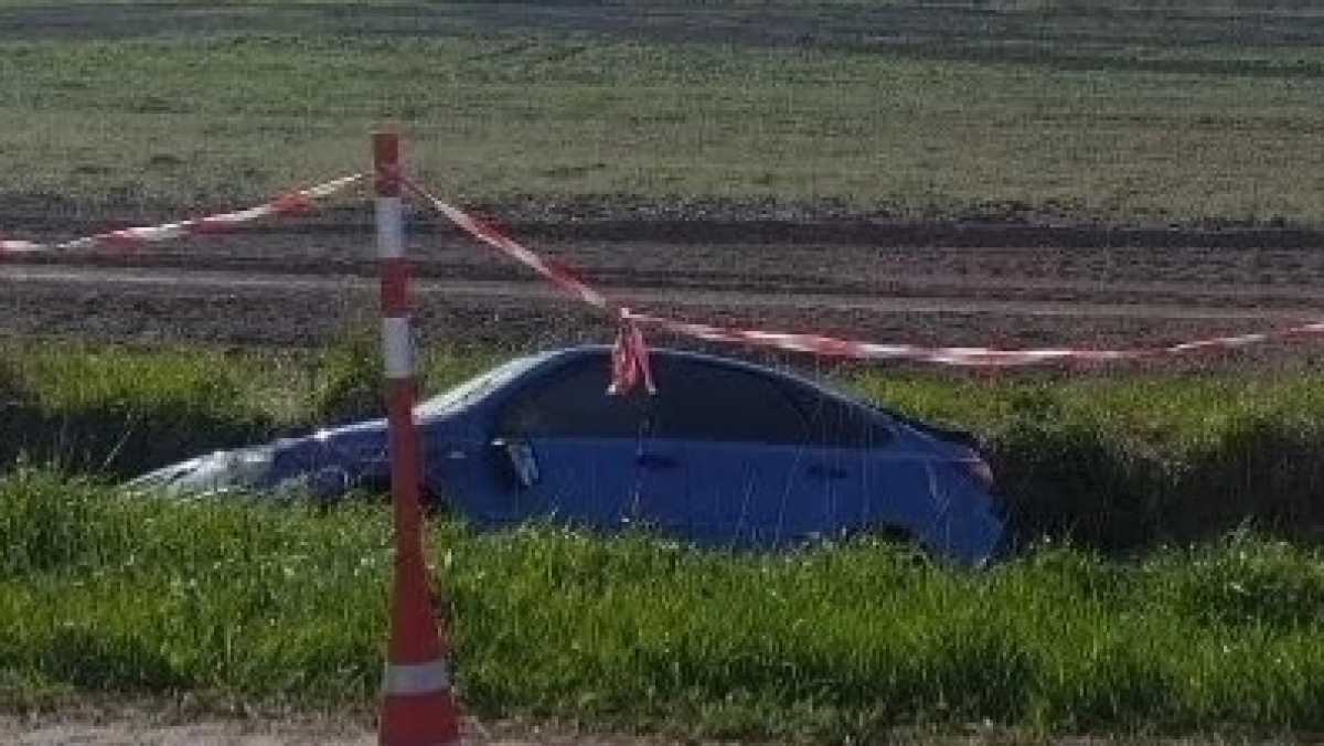 Причины и обстоятельства ДТП устанавливают.