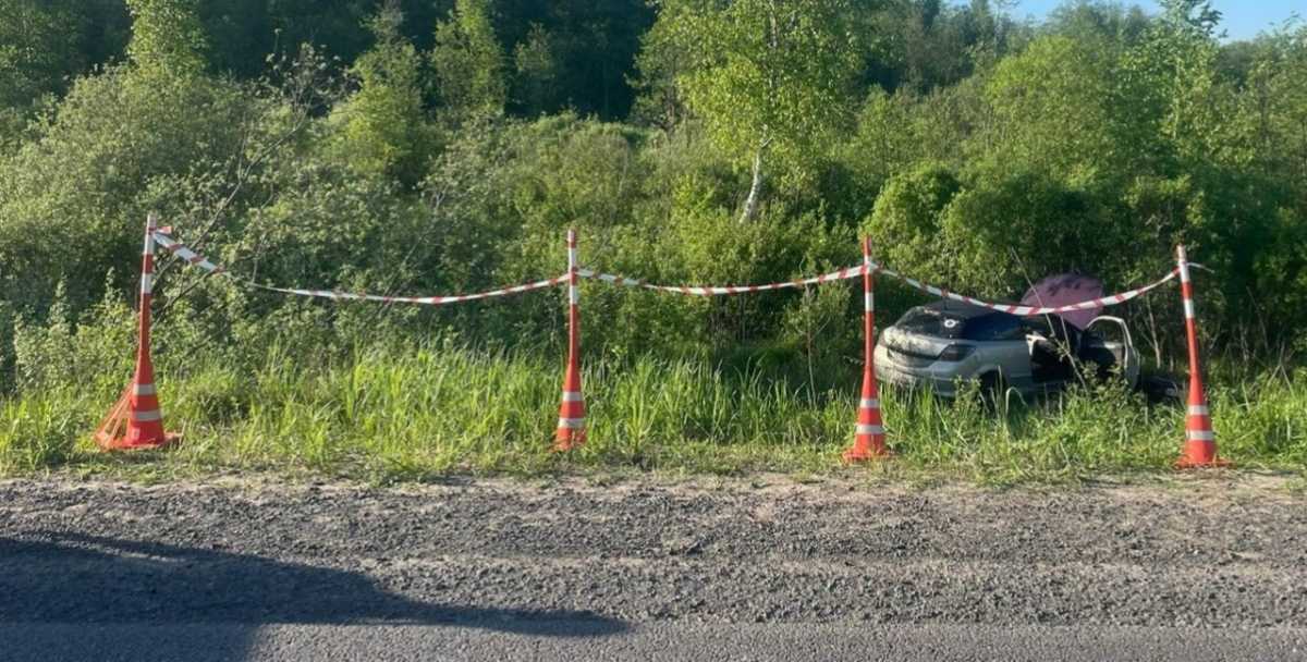 Пострадавших мужчин доставили в Новгородскую областную клиническую больницу. Пострадавших мужчин доставили в Новгородскую областную клиническую больницу.