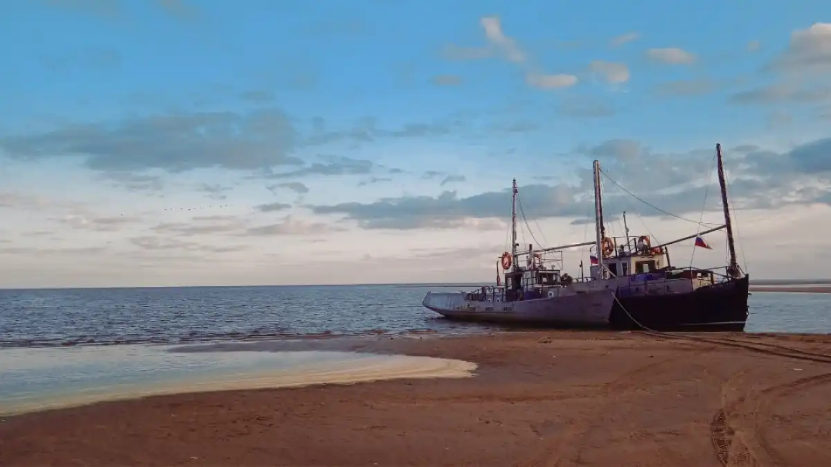 Свою вину петербуржцы признали.