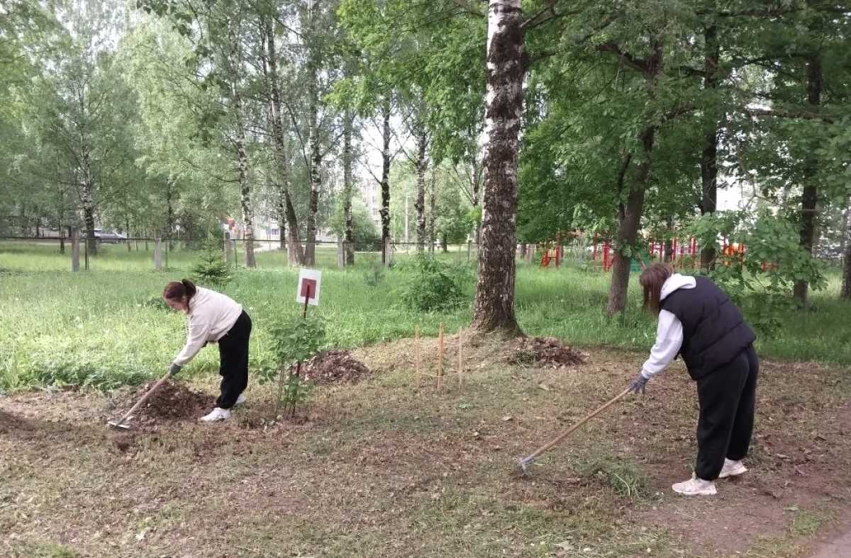 Работы на территории школы продолжаются.