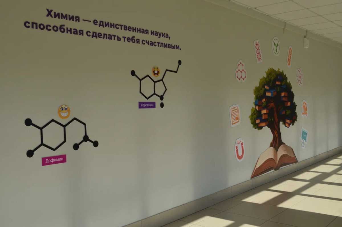 Новгородские выпускников предпочитают сдавать предметы естественно-научного цикла.