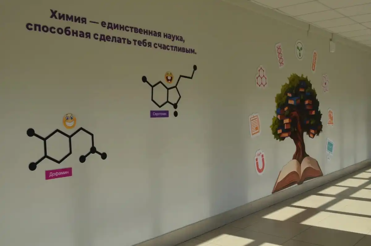 Новгородские выпускников предпочитают сдавать предметы естественно-научного цикла.