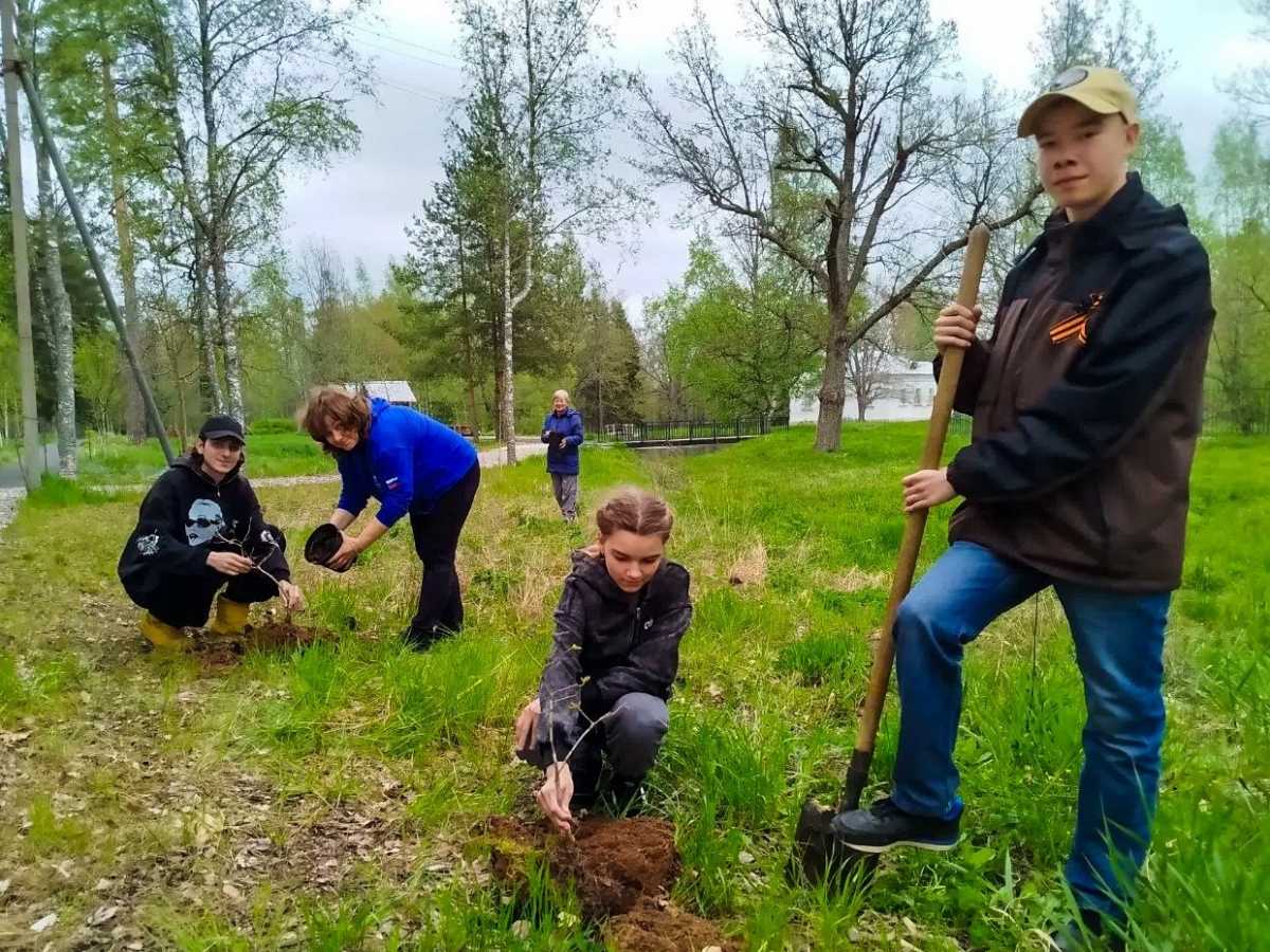 Участие в акции приняли воспитанники Кончанской школы, работники сельского Дома культуры, сотрудники Музея-усадьбы. Участие в акции приняли воспитанники Кончанской школы, работники сельского Дома культуры, сотрудники Музея-усадьбы.