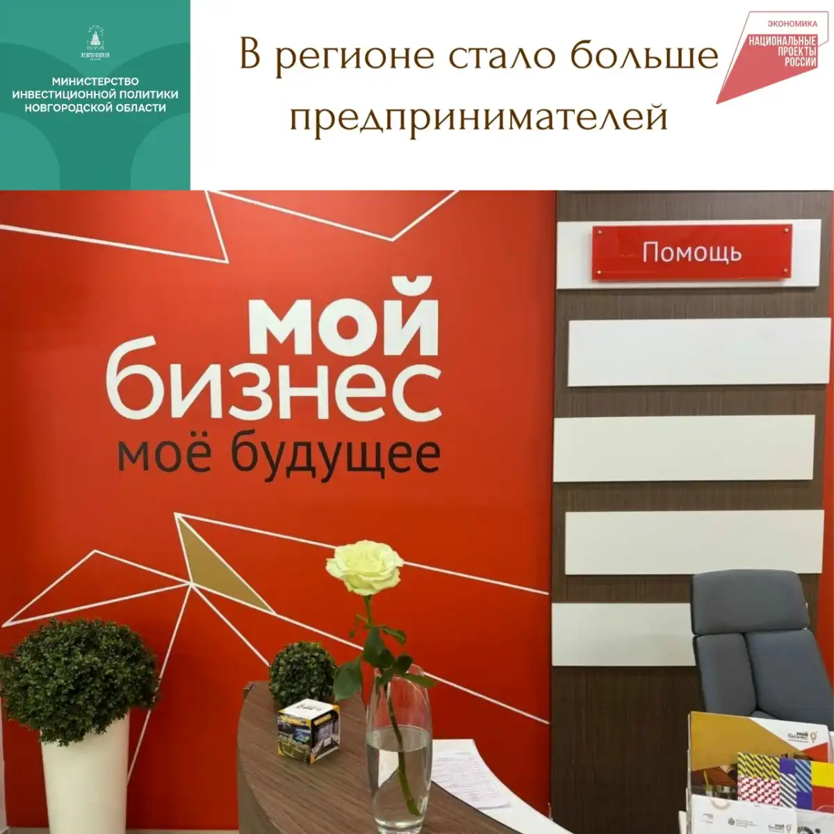 Статус субъекта малого и среднего предпринимательства позволяет пользоваться широким перечнем мер господдержки.