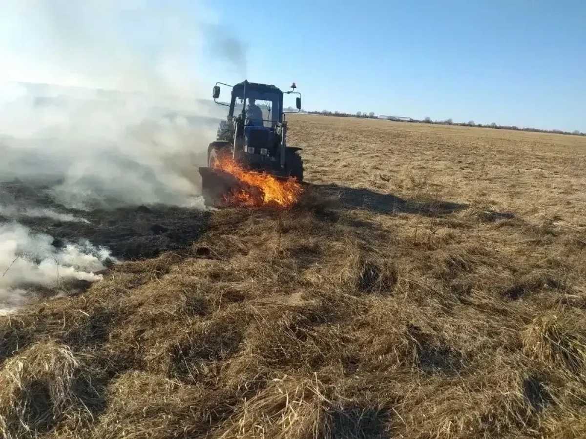 Почти все лесные пожары были ликвидированы в течении первых суток с момента обнаружения.