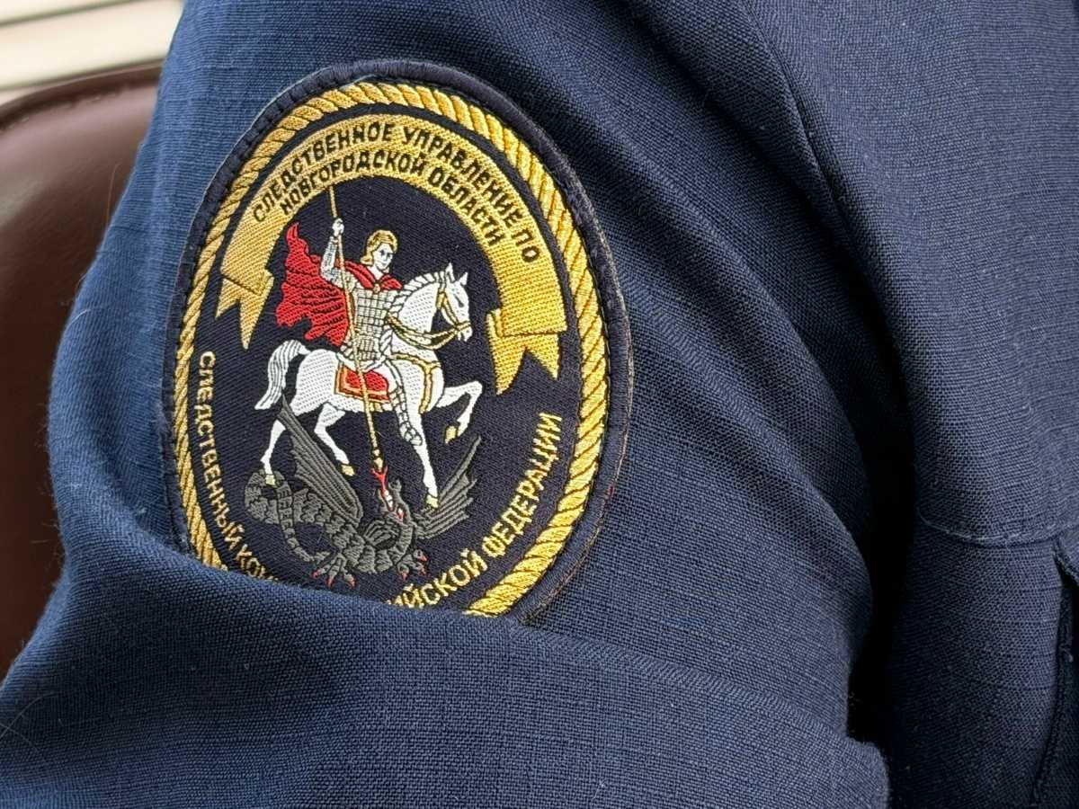 Суд приговорил женщину к шести с половиной годам колонии.