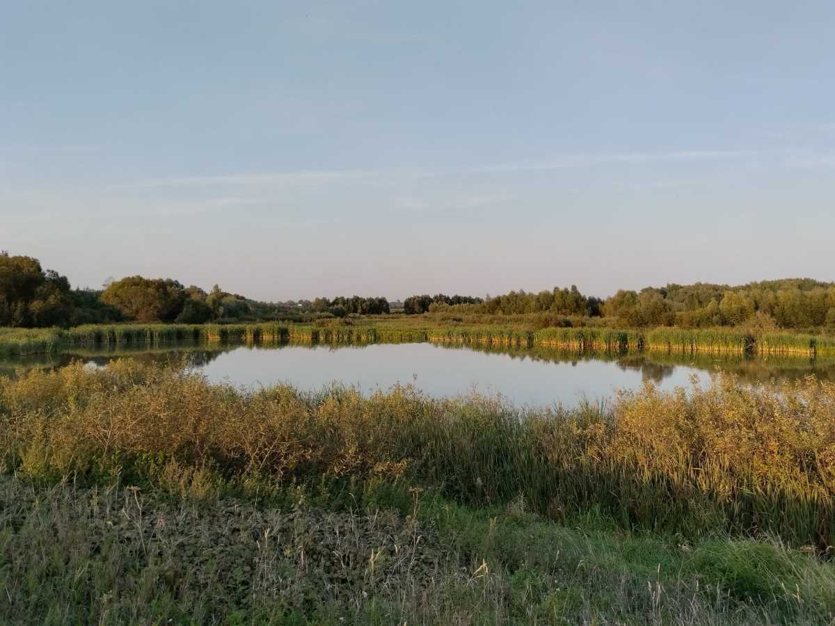 В разрешённых местах купания водолазы проверили дно водоёмов. В разрешённых местах купания водолазы проверили дно водоёмов.