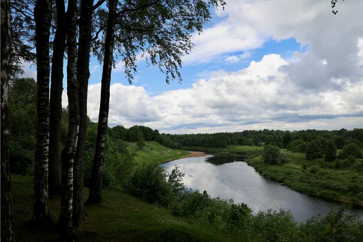 В дендропарке будут обустроены дорожки, спилены аварийные деревья.