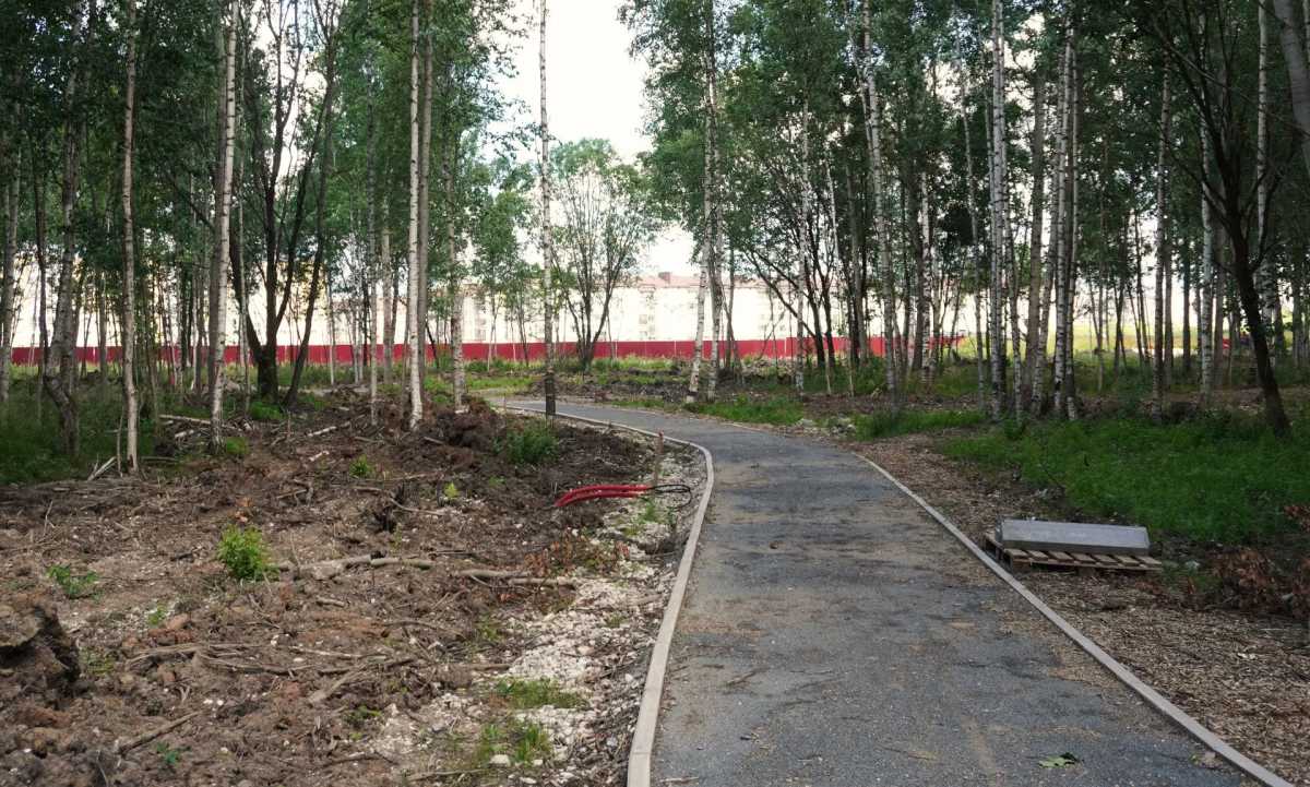 Пятый этап благоустройства «Берёзовая роща» планируют закончить до 15 августа. Пятый этап благоустройства «Берёзовая роща» планируют закончить до 15 августа.