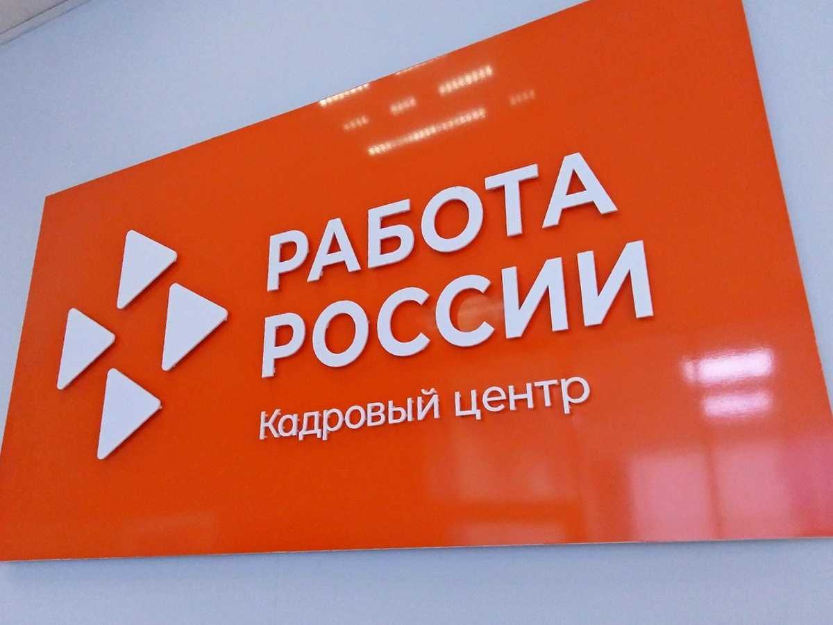 В IT-секторе будут заявлены программисты и специалисты по защите информации.