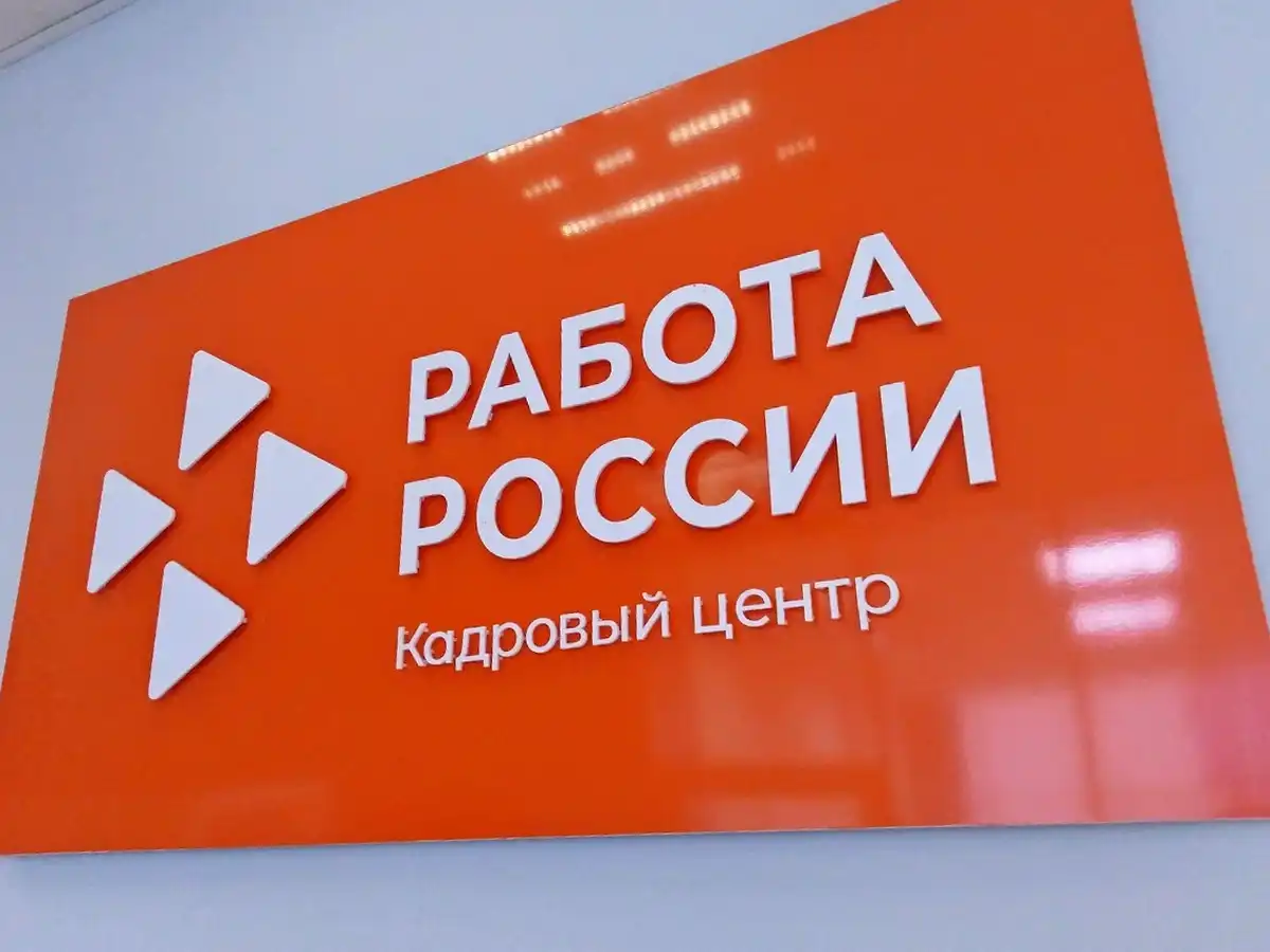 В IT-секторе будут заявлены программисты и специалисты по защите информации.