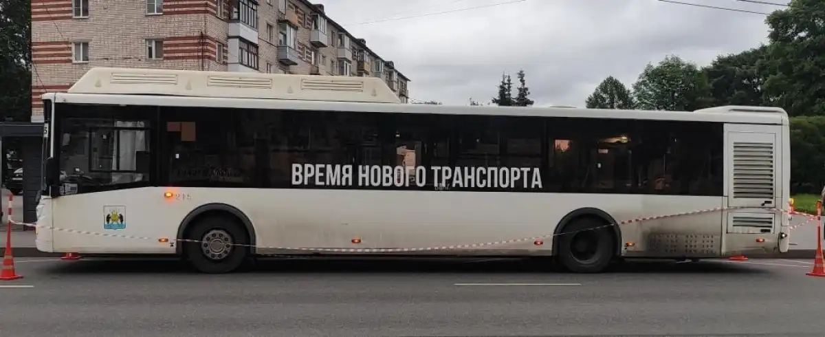 Упавшей пассажирке диагностировали сотрясение головного мозга.