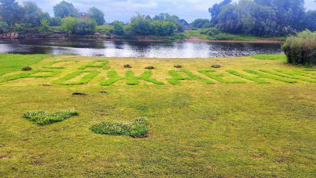 Автор послания из травы и его адресат неизвестны. Автор послания из травы и его адресат неизвестны.