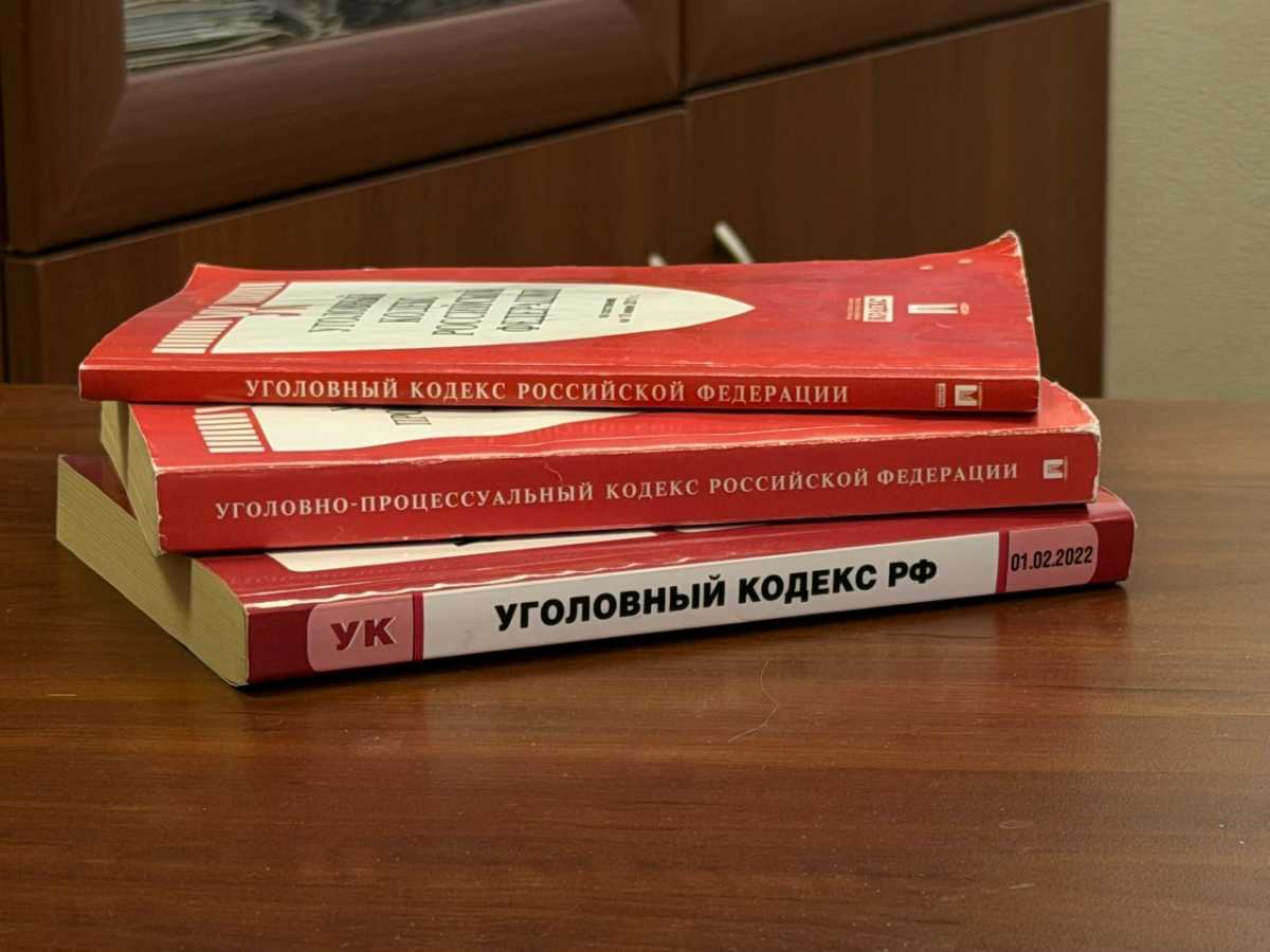 Новгородцы уже судили, в том числе за аналогичные преступления.