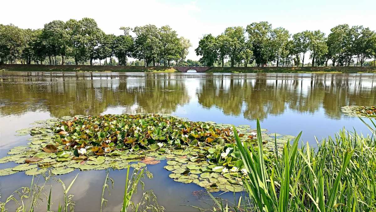 Даже спокойная вода может таить угрозу, если пренебрегать элементарными правилами. Даже спокойная вода может таить угрозу, если пренебрегать элементарными правилами.