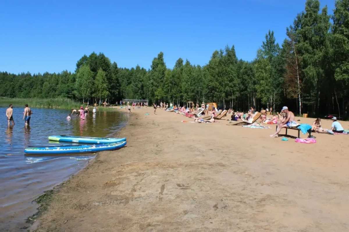 Боровичане предложили сделать на пляже удобный вход в воду и добавить качели. Боровичане предложили сделать на пляже удобный вход в воду и добавить качели.