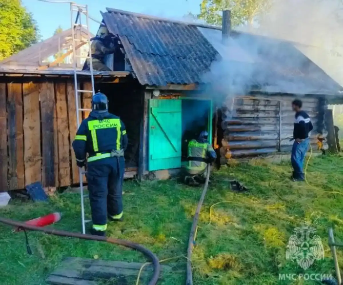 Причины пожаров устанавливают органы дознания.