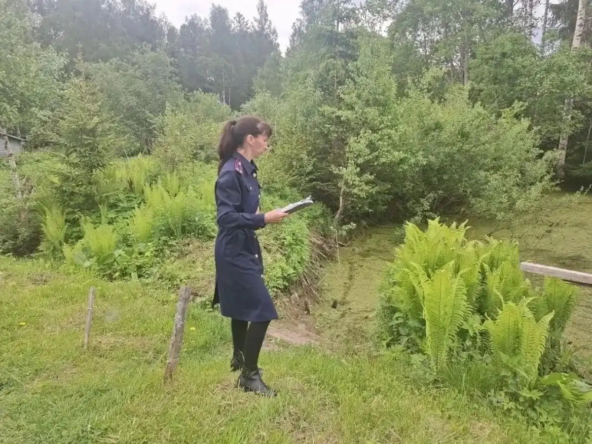 Расследование уголовного дела продолжается.