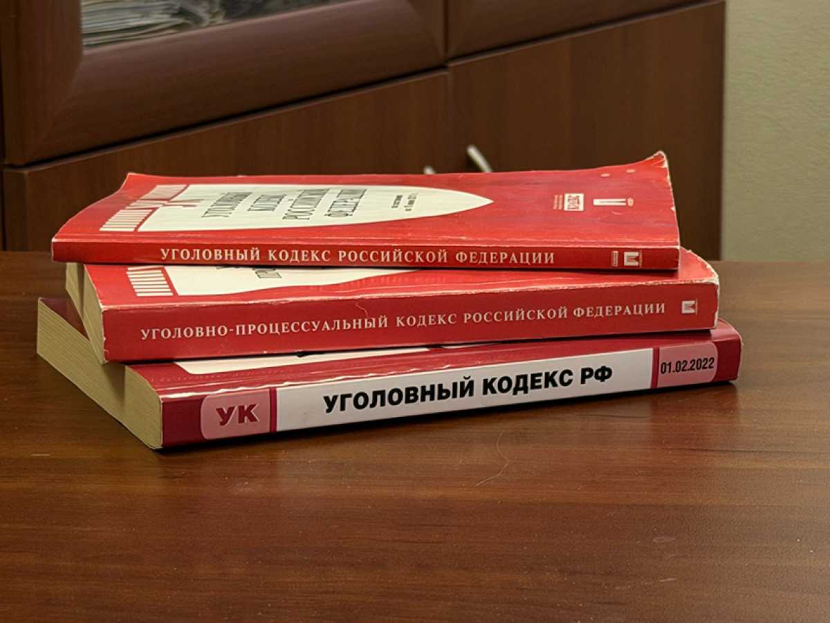 В Старой Руссе женщина осуждена за нападение на полицейского