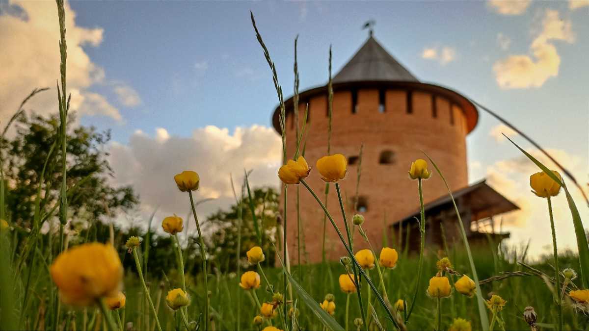 Великий Новгород — направление семейных и коротких поездок: четверть всех броней (25%) приходится на отдых с детьми. Великий Новгород — направление семейных и коротких поездок: четверть всех броней (25%) приходится на отдых с детьми.