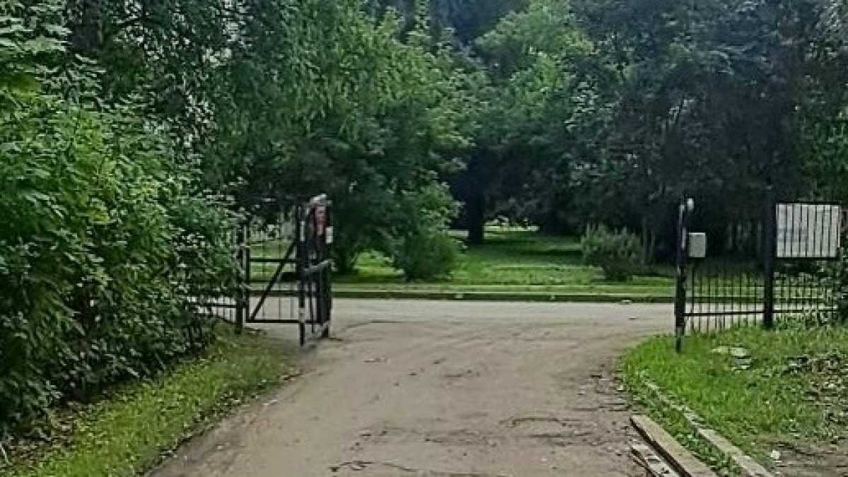 Пострадавшего пешехода госпитализировали. Пострадавшего пешехода госпитализировали.