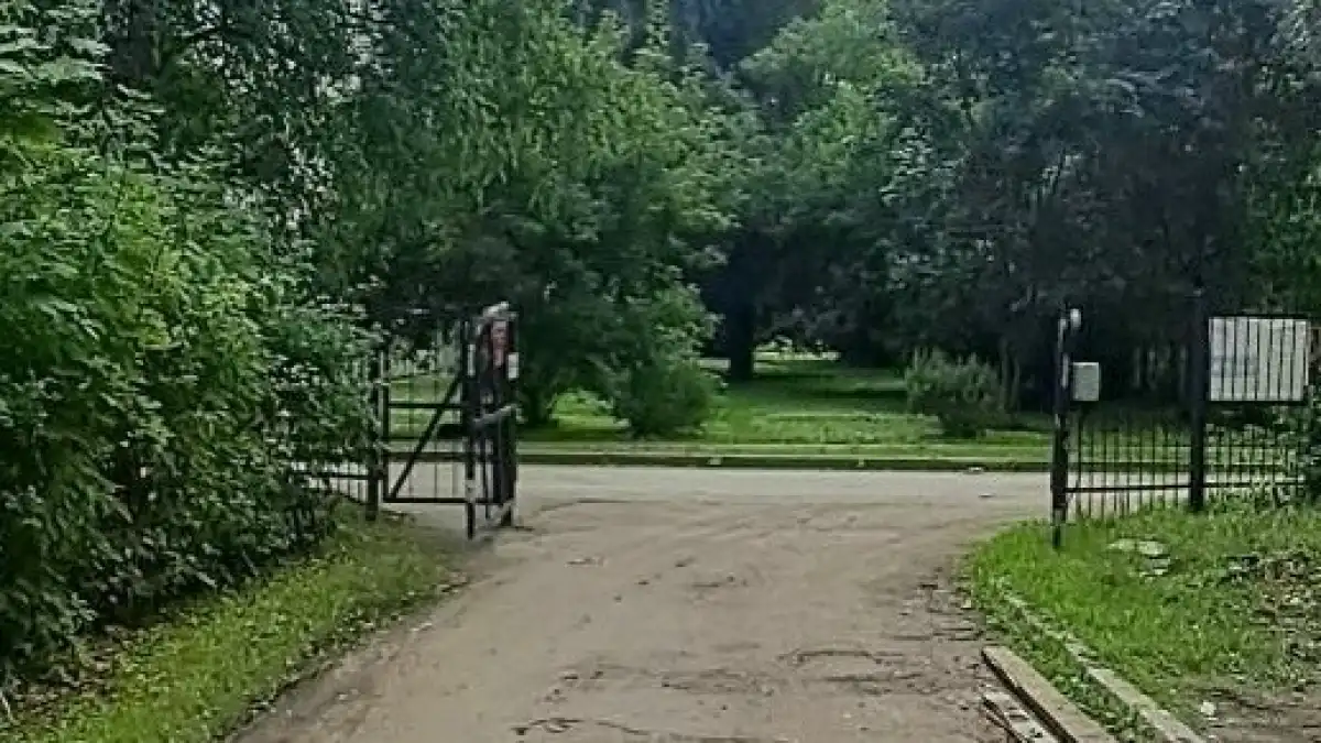 Пострадавшего пешехода госпитализировали.