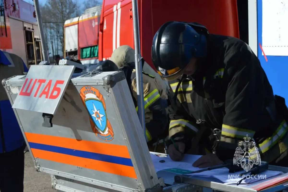 Причины пожаров устанавливают органы дознания. Причины пожаров устанавливают органы дознания.