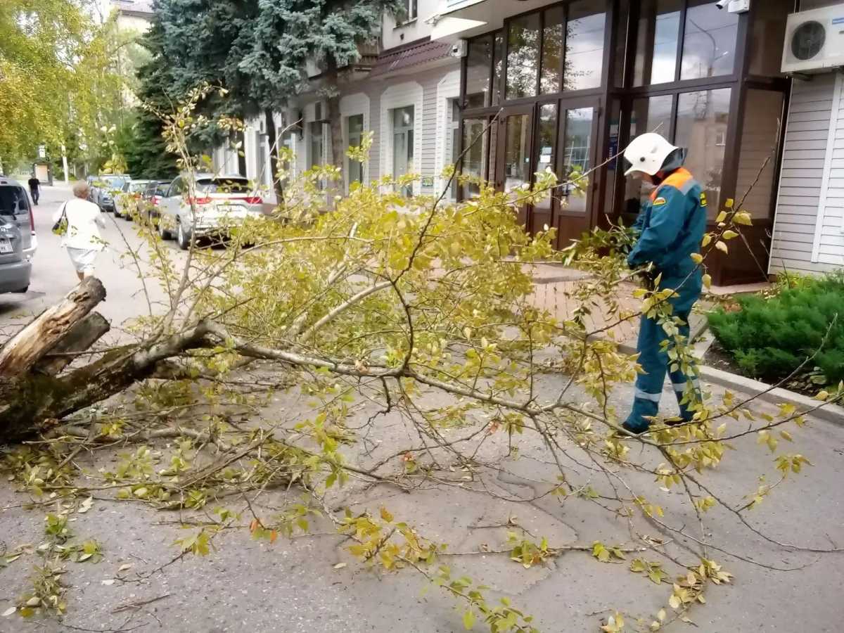 Пострадавшую госпитализировали в клинику №1 ЦГКБ Великого Новгорода. Пострадавшую госпитализировали в клинику №1 ЦГКБ Великого Новгорода.