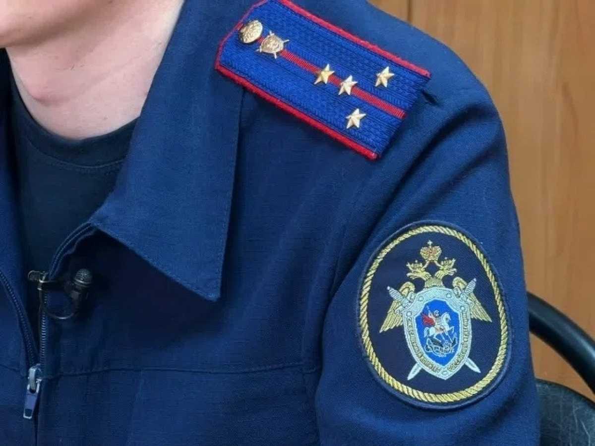 Подсудимый полностью признал свою вину. Подсудимый полностью признал свою вину.