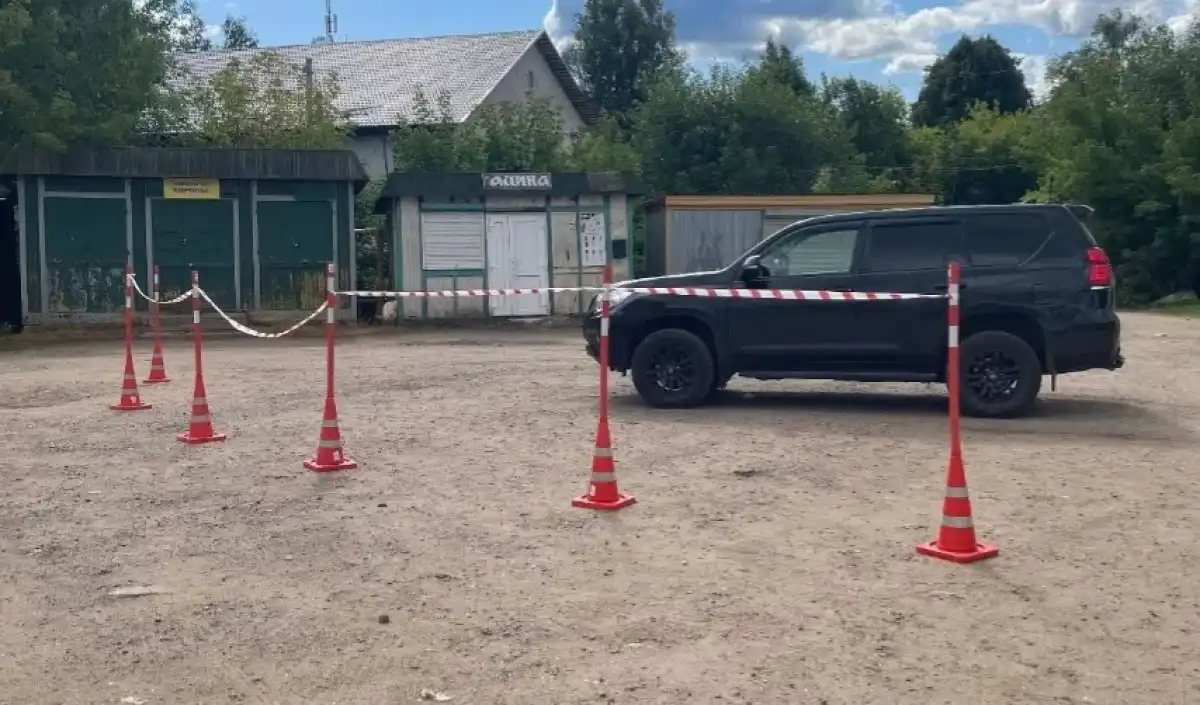 Пострадавшую доставили Валдайский многопрофильный медицинский центр.