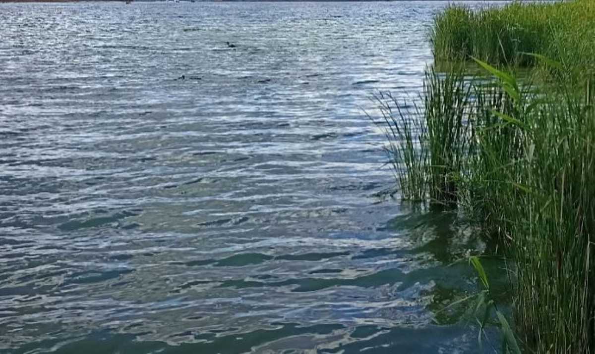 Следователи СК проводят доследственную проверку.
