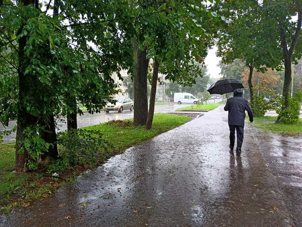 За ночь в Великом Новгороде выпало более 80% месячной нормы осадков.