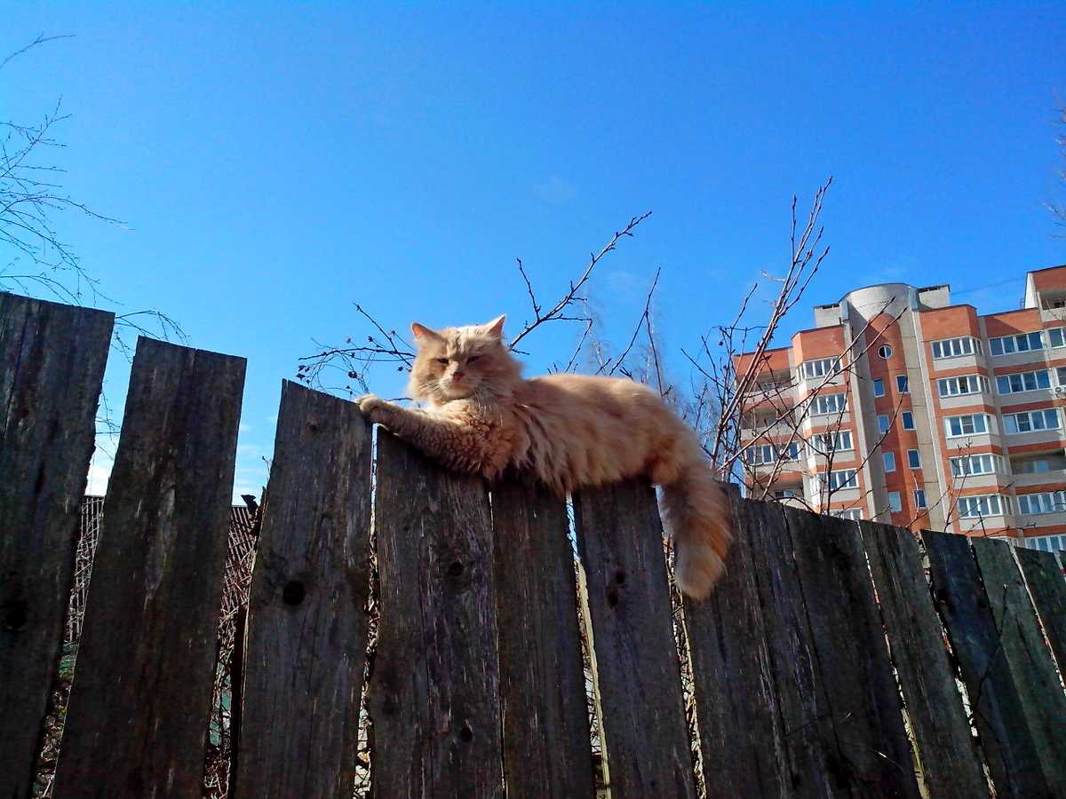 Сами жители будут решать, каким будет их двор.