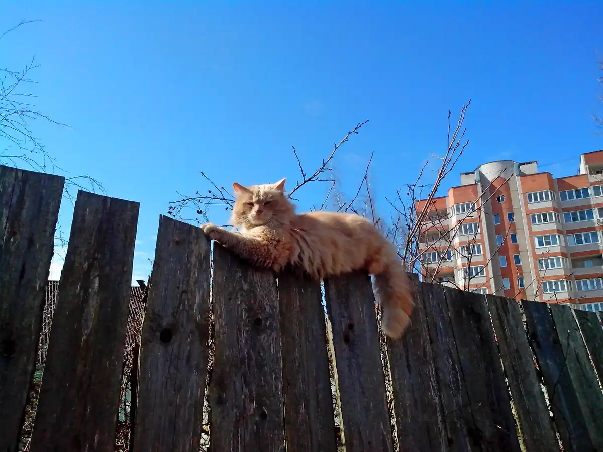 Сами жители будут решать, каким будет их двор.