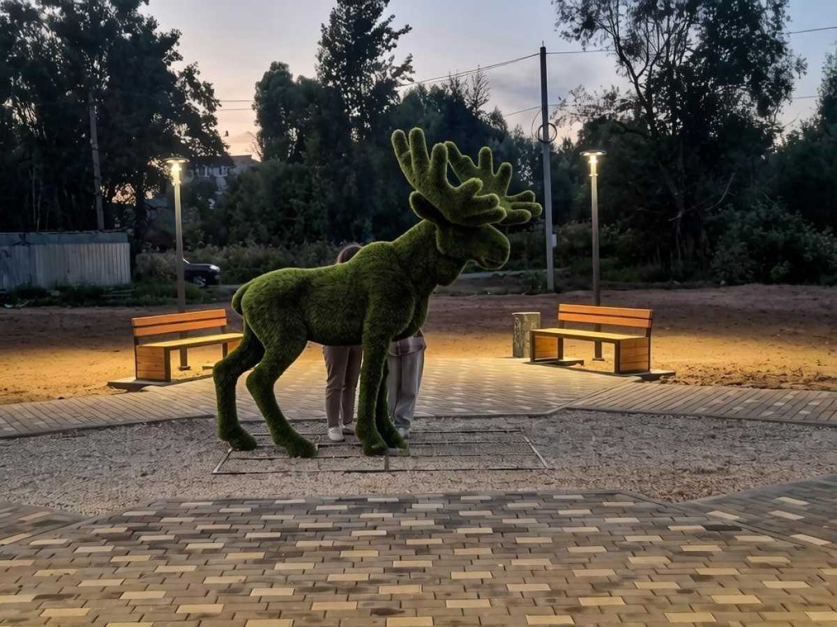 На месте разрушенных пожаром многоквартирных домов появилась зона отдыха. На месте разрушенных пожаром многоквартирных домов появилась зона отдыха.
