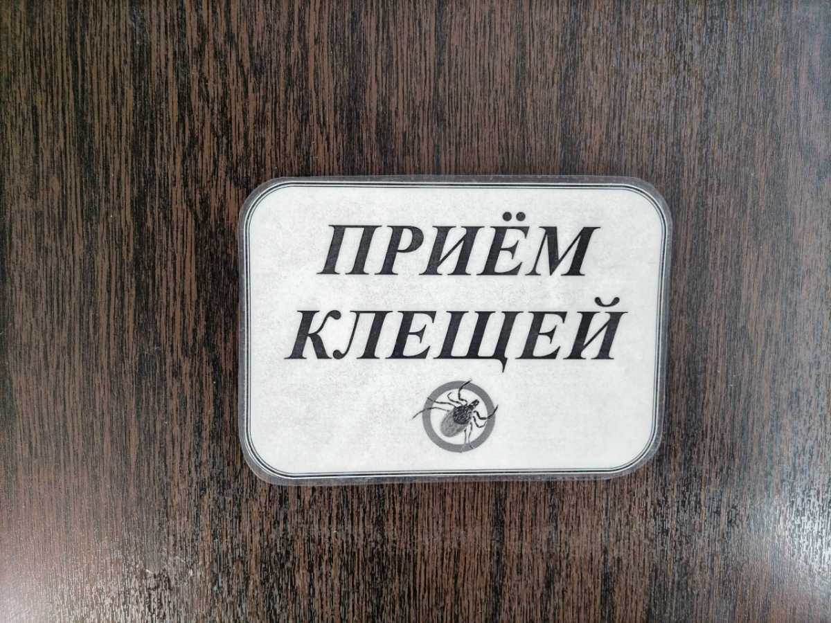 Чаще всего клещи присасываются на дачных участках и огородах, а также на придомовой территории.