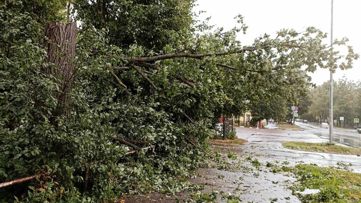 Работы будут вестись в круглосуточном режиме до полного восстановления электроснабжения.