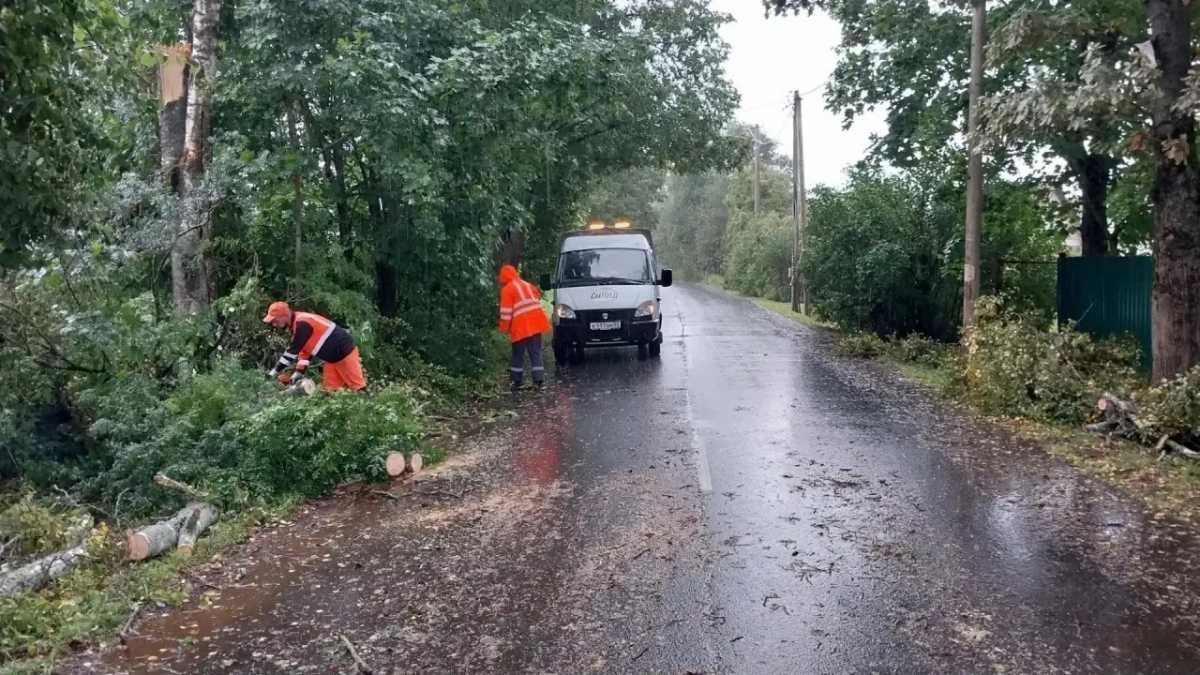 В Новгородской области ливень с порывистым ветром идёт уже несколько дней. В Новгородской области ливень с порывистым ветром идёт уже несколько дней.