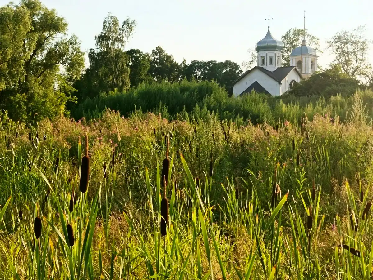 В Великом Новгороде днём воздух прогреется до 18-20 градусов.