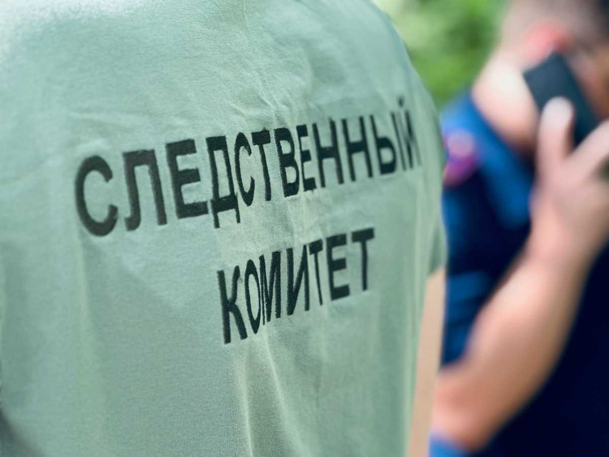 Пестовчанин ударил женщину ножом в грудь. Пестовчанин ударил женщину ножом в грудь.