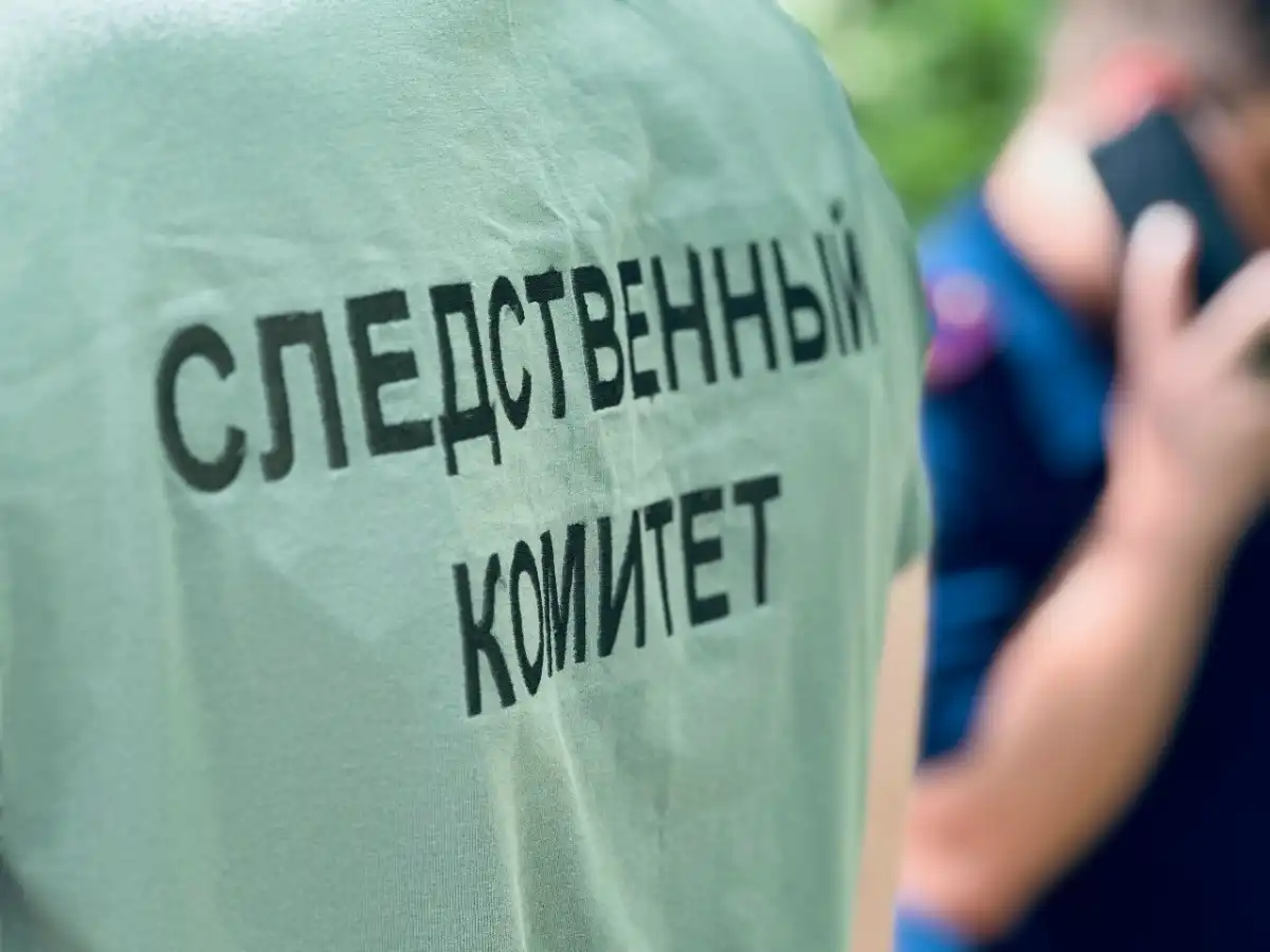 Пестовчанин ударил женщину ножом в грудь.