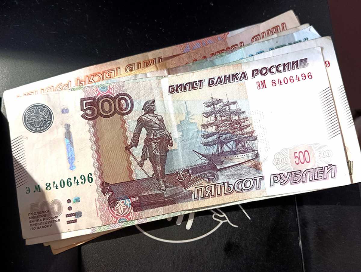Более 8 миллионов рублей перечислили беременным студенткам в Новгородской области
