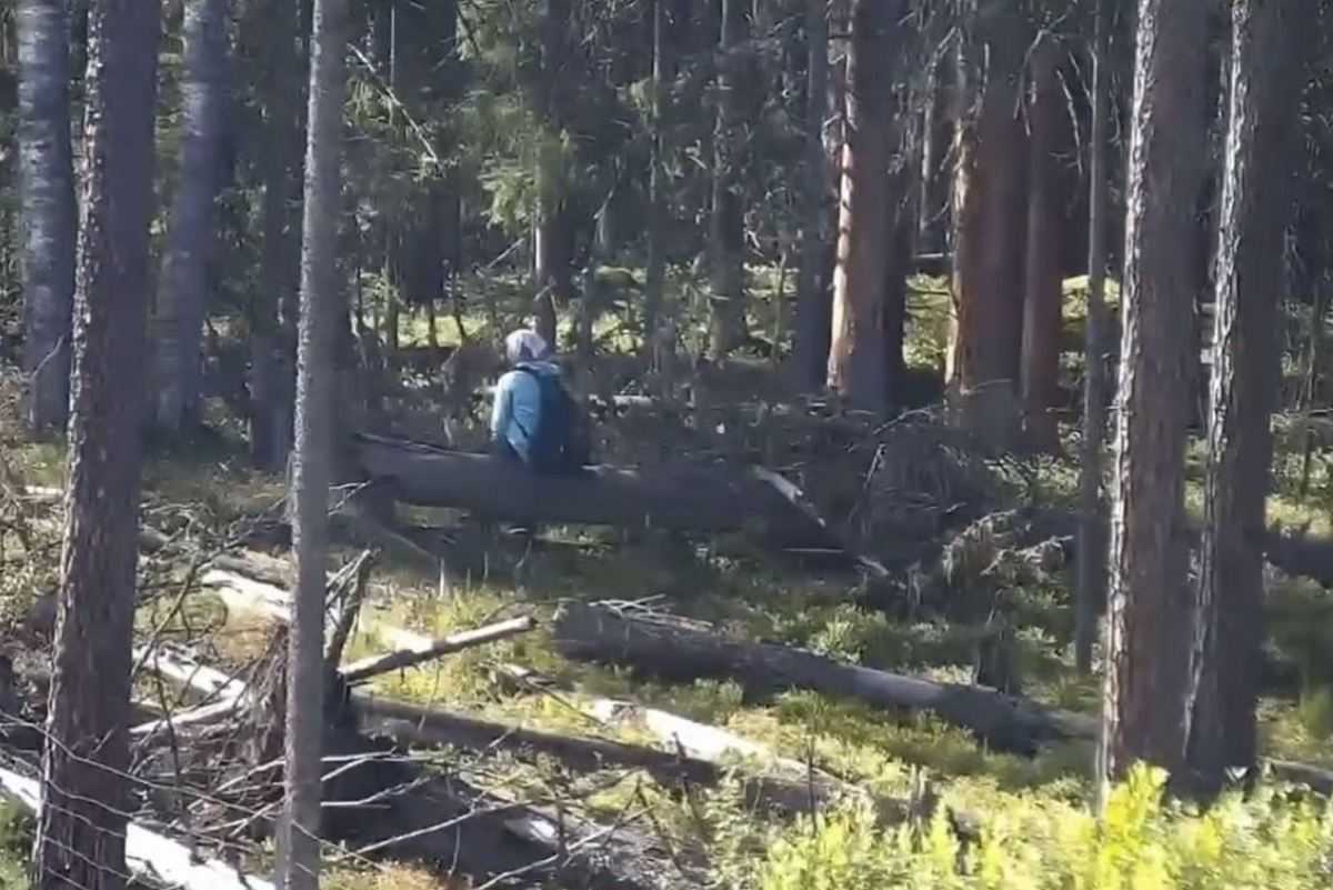 Изображение на камере увеличили и увидели женщину, сидевшую на поваленном дереве вблизи трассы.